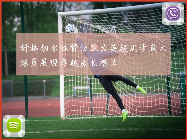 舒梅切尔称赞拉亚为英超进步最大球员展现卓越成长潜力