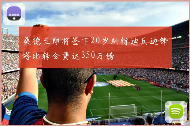 桑德兰即将签下20岁科特迪瓦边锋塔比转会费达350万镑